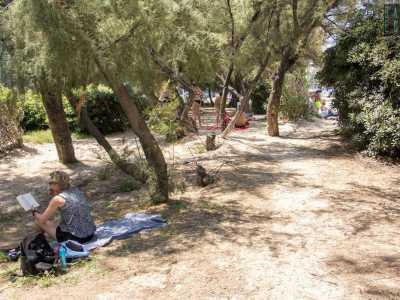 Arenile che � circondato da bassi alberi che regalano zona d�ombra ambite durante le giornate pi� calde